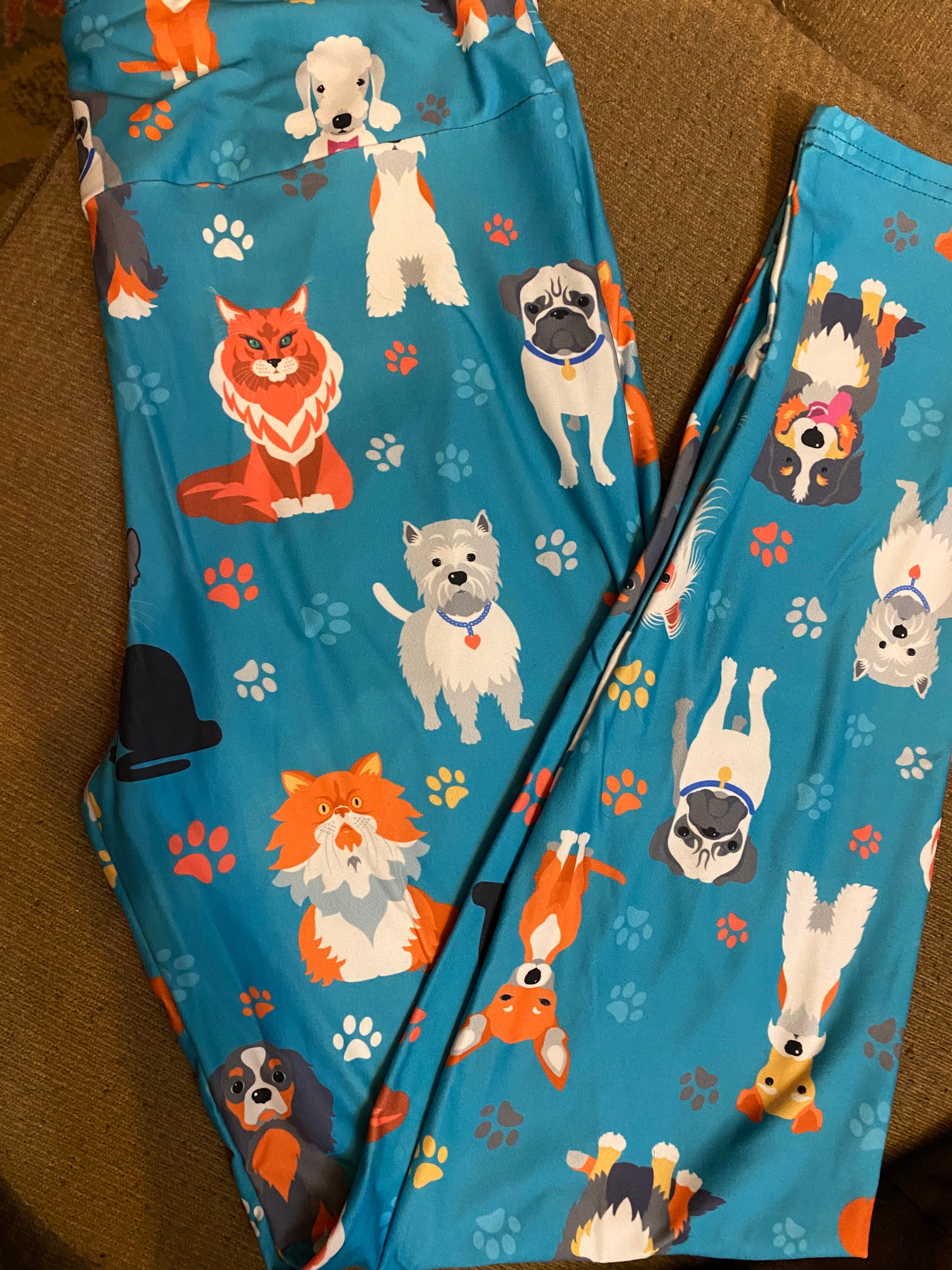 Pets in teal tc leggings